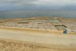 PICTURES/Malta - Gozo - Ta' Kola Windmill & Saltpans of Xwejni/t_P1290493.JPG
